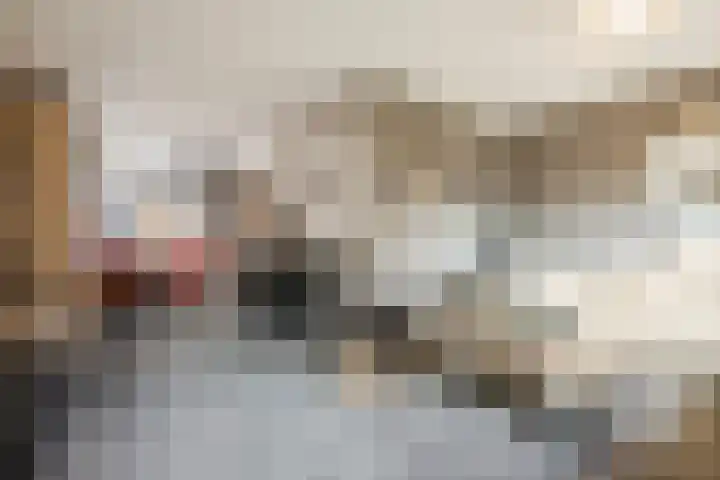 Rudolf van Diepholtstraat 15 Vollenhove thumbnail 6