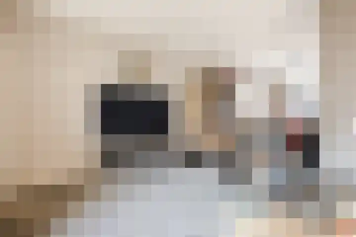 Rudolf van Diepholtstraat 15 Vollenhove thumbnail 7