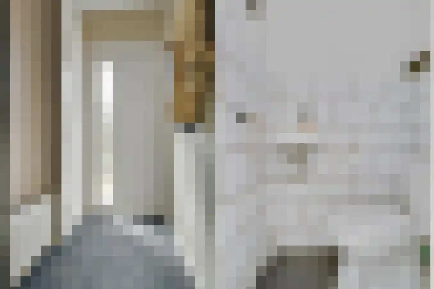 Rudolf van Diepholtstraat 25 Vollenhove thumbnail 11