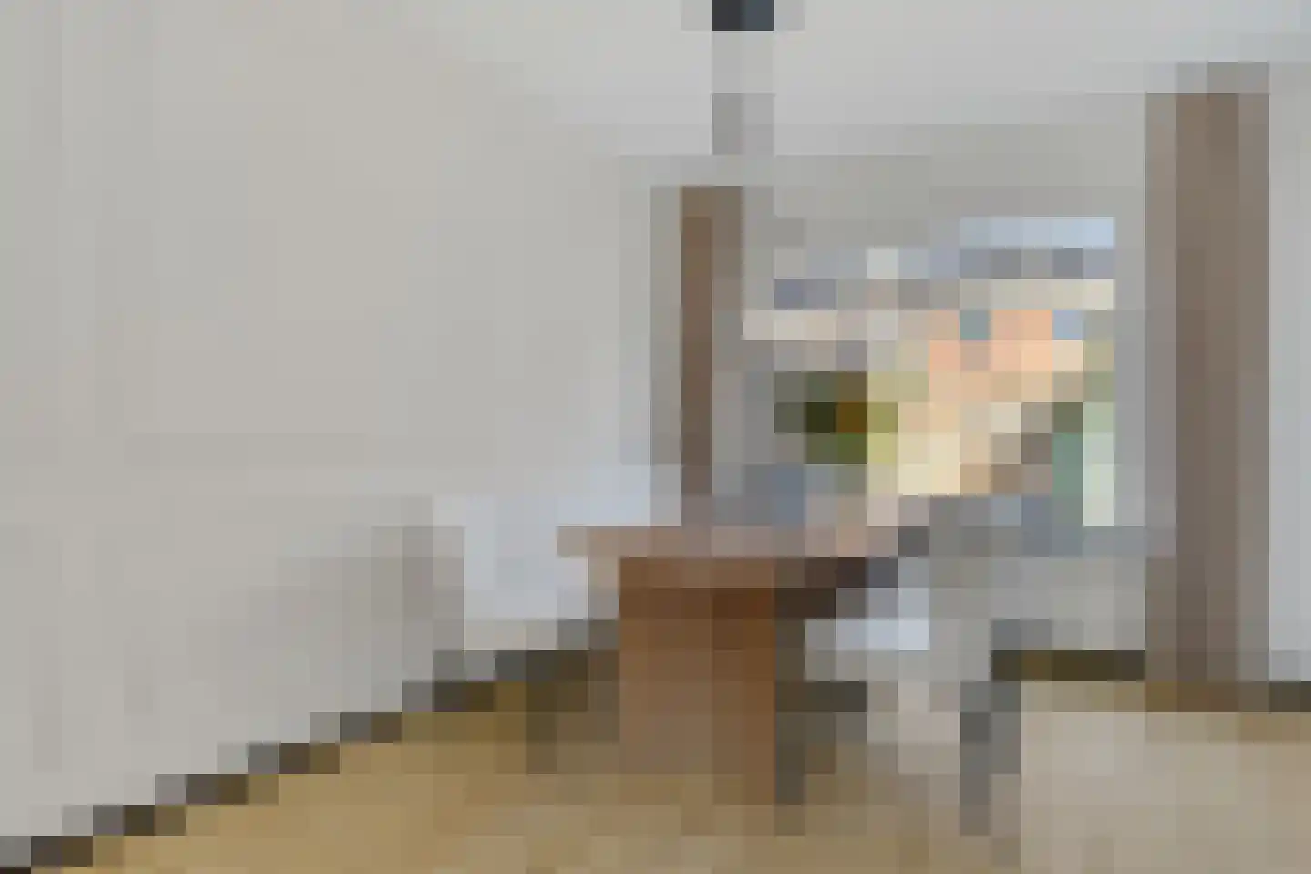 Rudolf van Diepholtstraat 25 Vollenhove thumbnail 16
