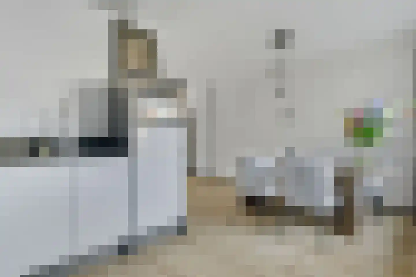 Rudolf van Diepholtstraat 25 Vollenhove thumbnail 18