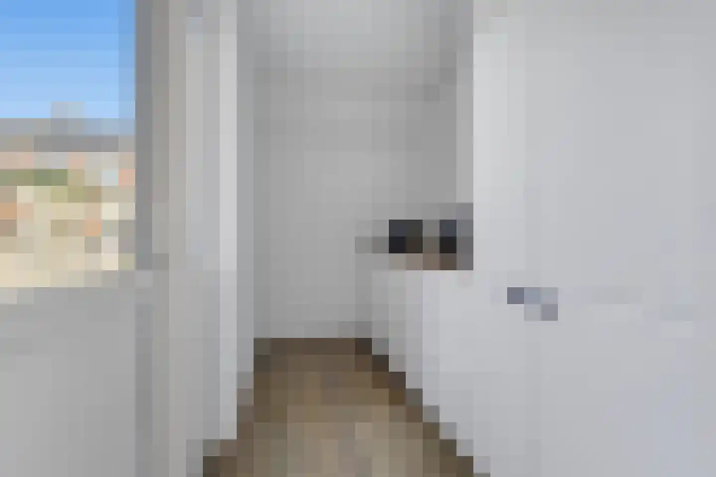 Rudolf van Diepholtstraat 25 Vollenhove thumbnail 20
