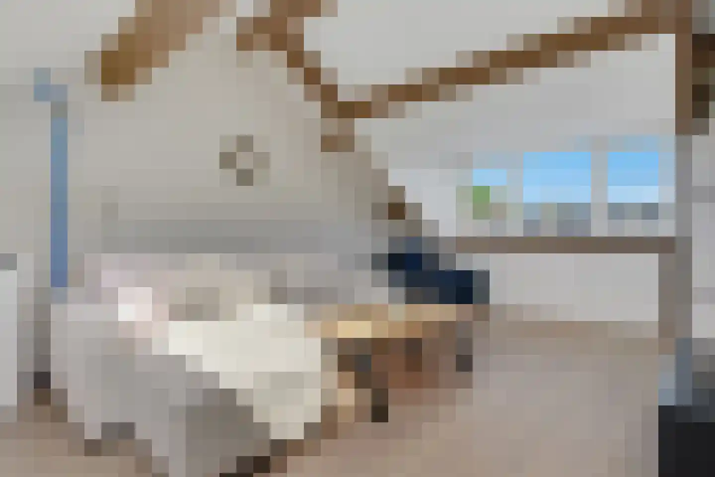 Rudolf van Diepholtstraat 25 Vollenhove thumbnail 35