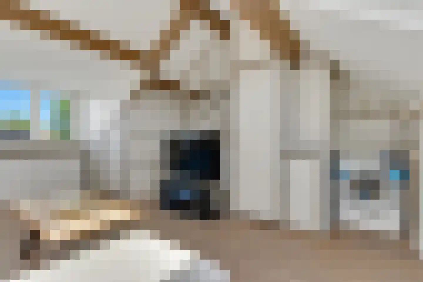 Rudolf van Diepholtstraat 25 Vollenhove thumbnail 36