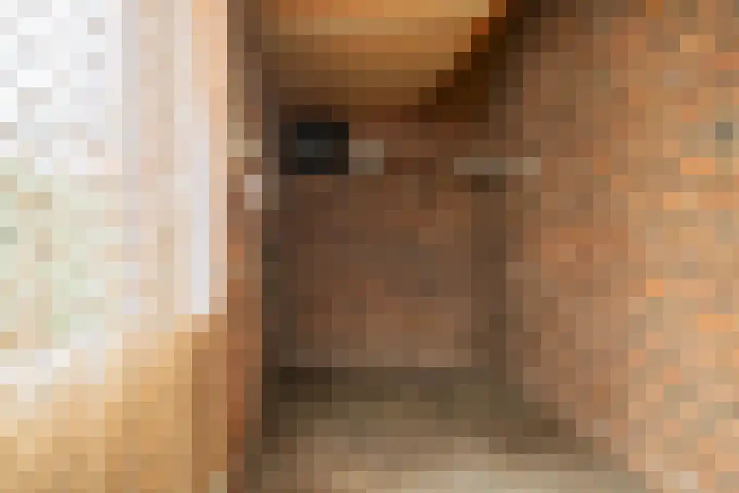 Rudolf van Diepholtstraat 9 Vollenhove thumbnail 19