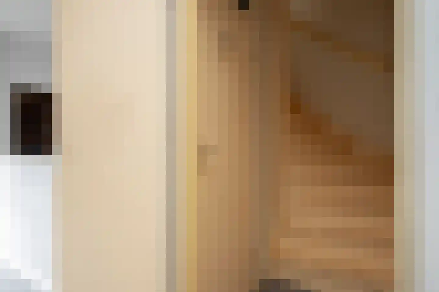 Rudolf van Diepholtstraat 9 Vollenhove thumbnail 26