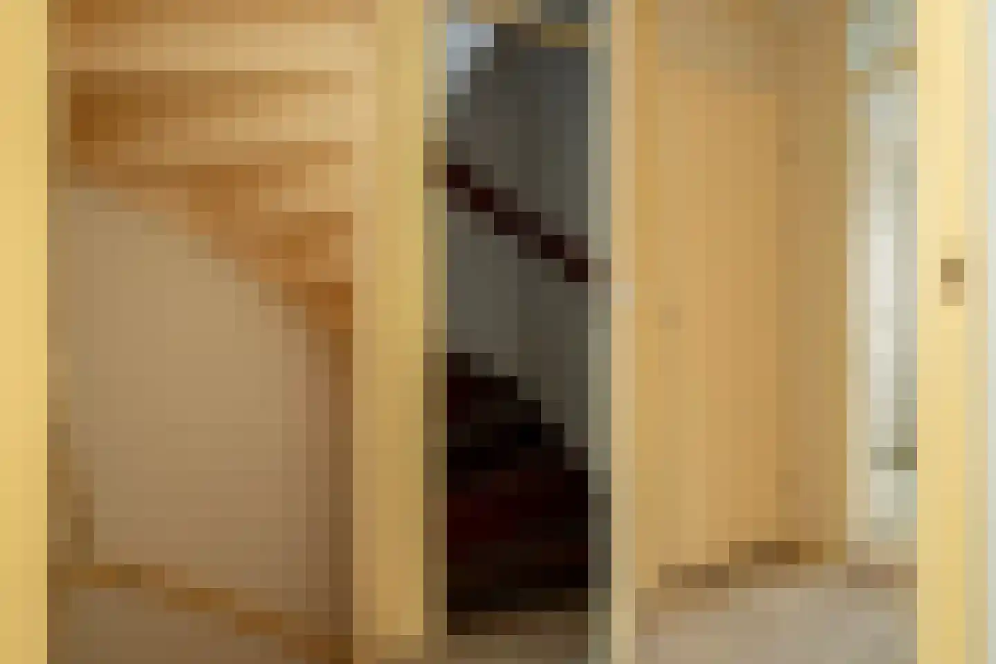 Rudolf van Diepholtstraat 9 Vollenhove thumbnail 28