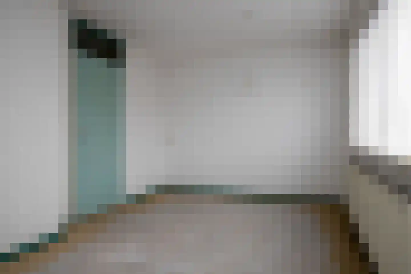 Rudolf van Diepholtstraat 9 Vollenhove thumbnail 31