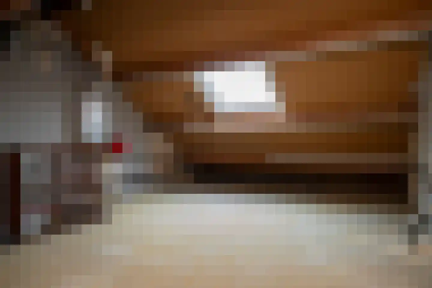 Rudolf van Diepholtstraat 9 Vollenhove thumbnail 36