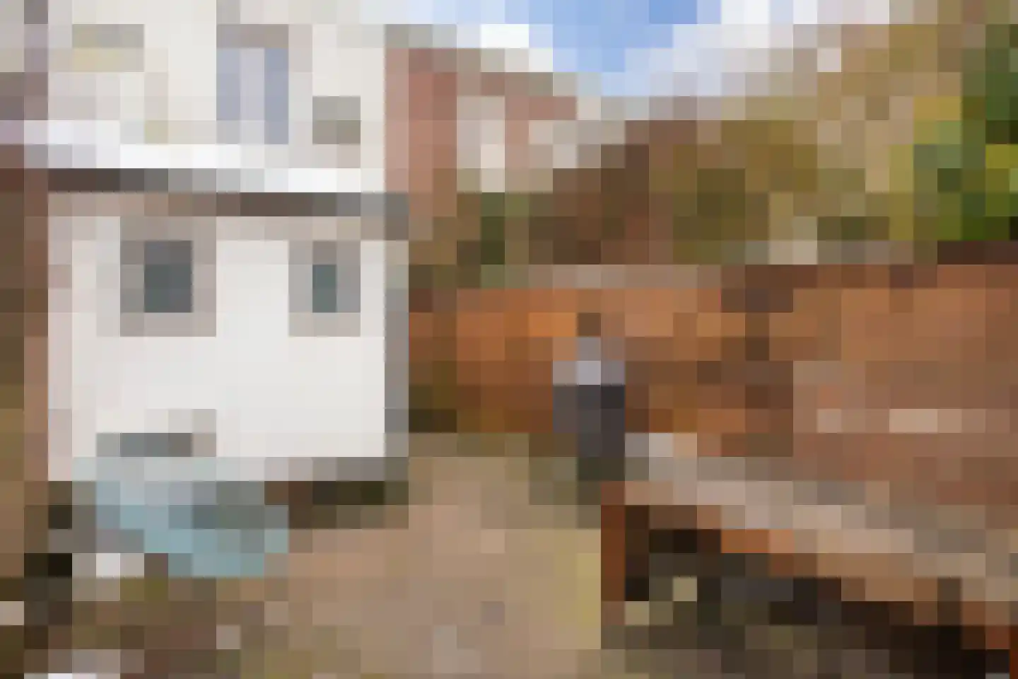 Rudolfstraat 21 Hengelo thumbnail 21
