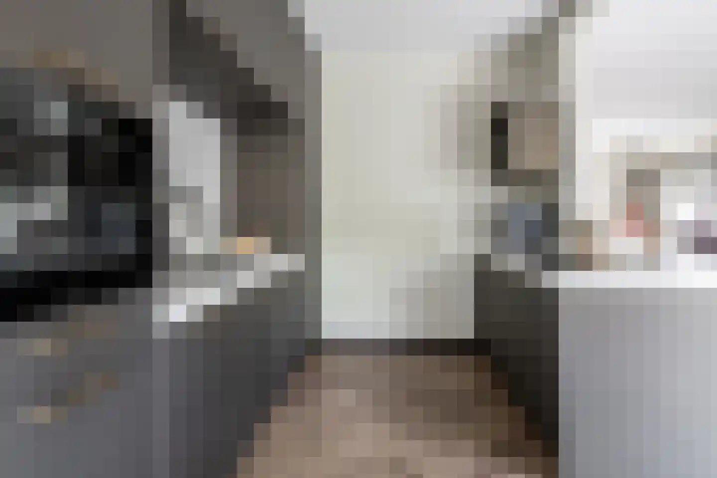 Rudolfstraat 4 Hengelo thumbnail 13