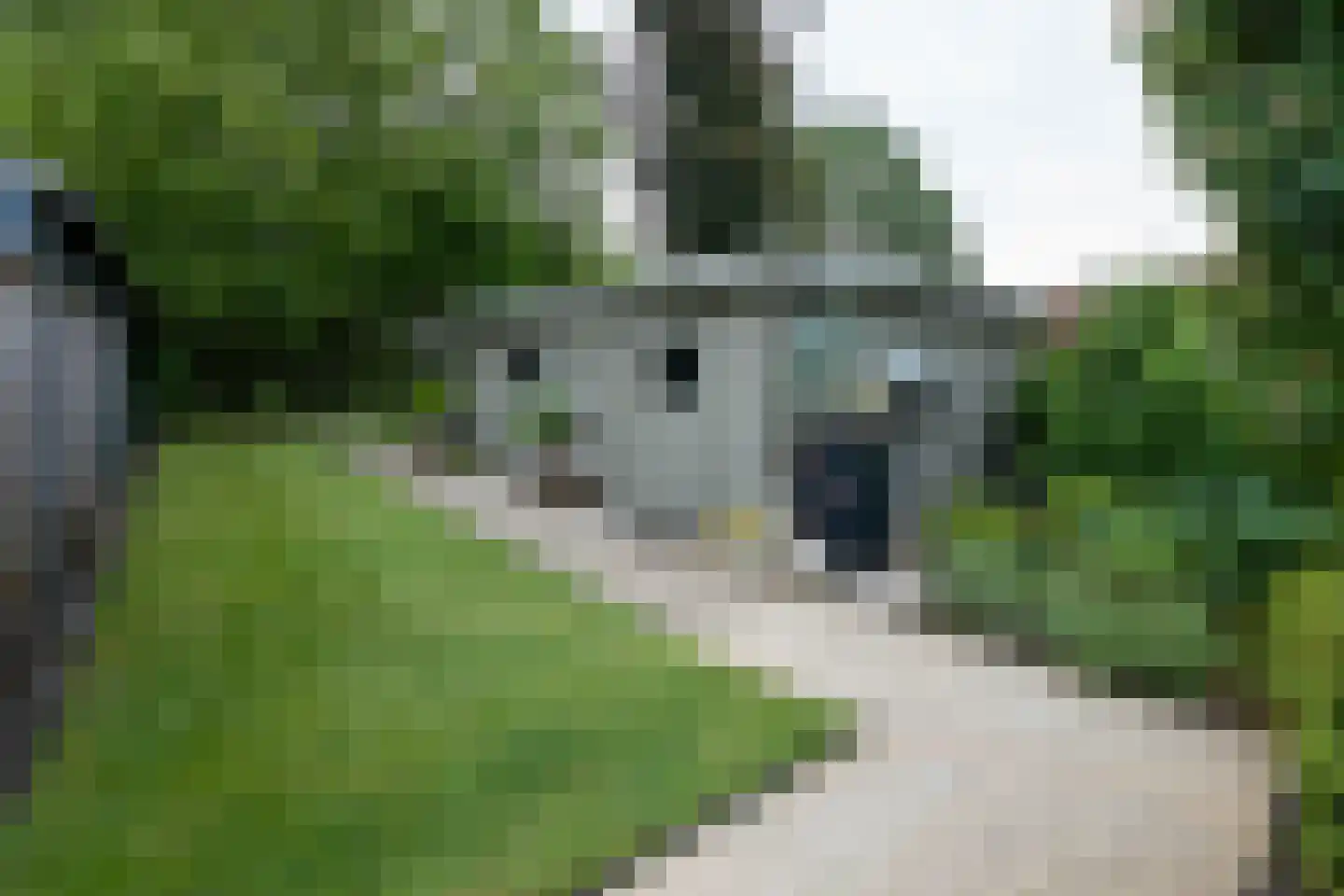 Rudolfstraat 4 Hengelo thumbnail 41
