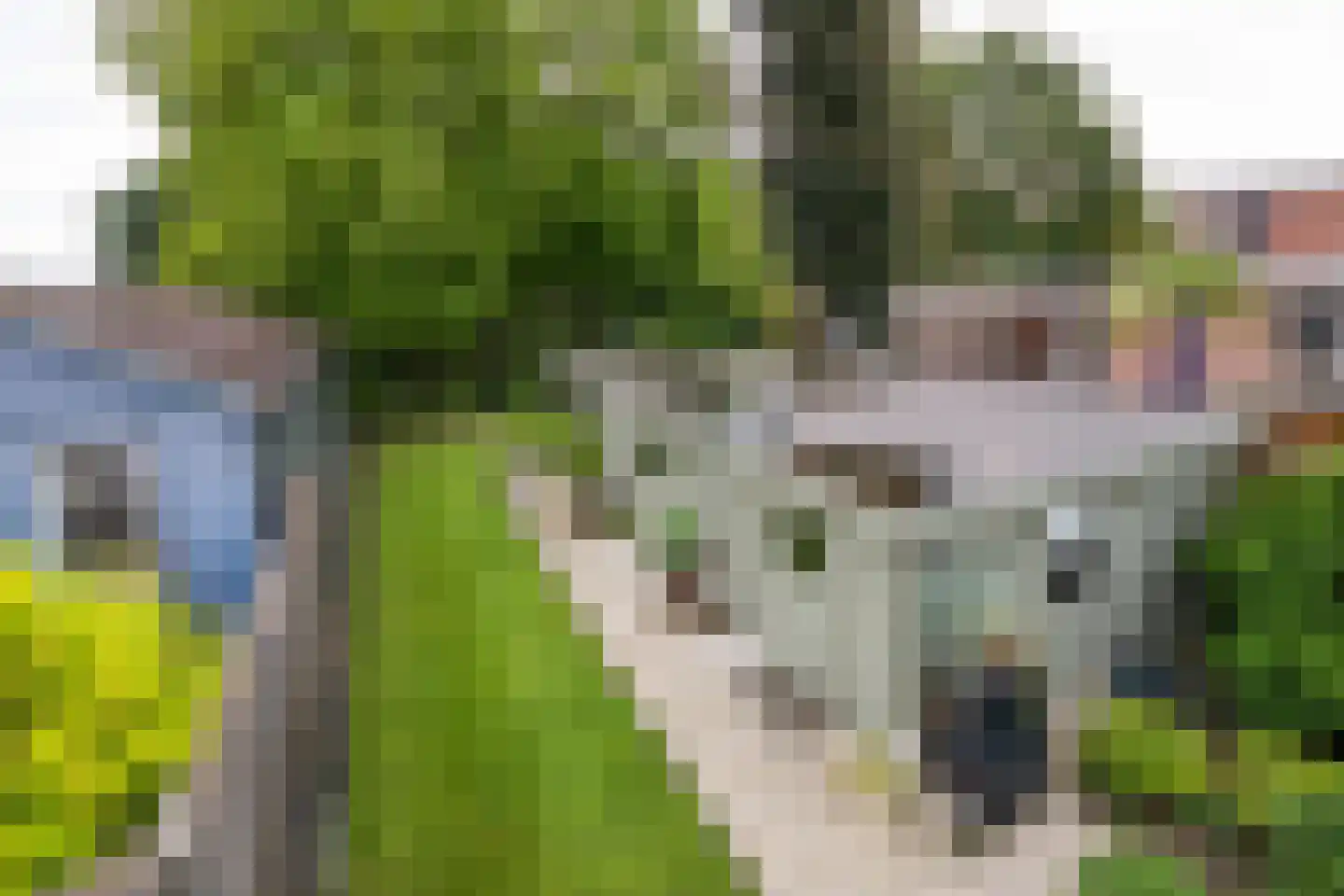 Rudolfstraat 4 Hengelo thumbnail 43