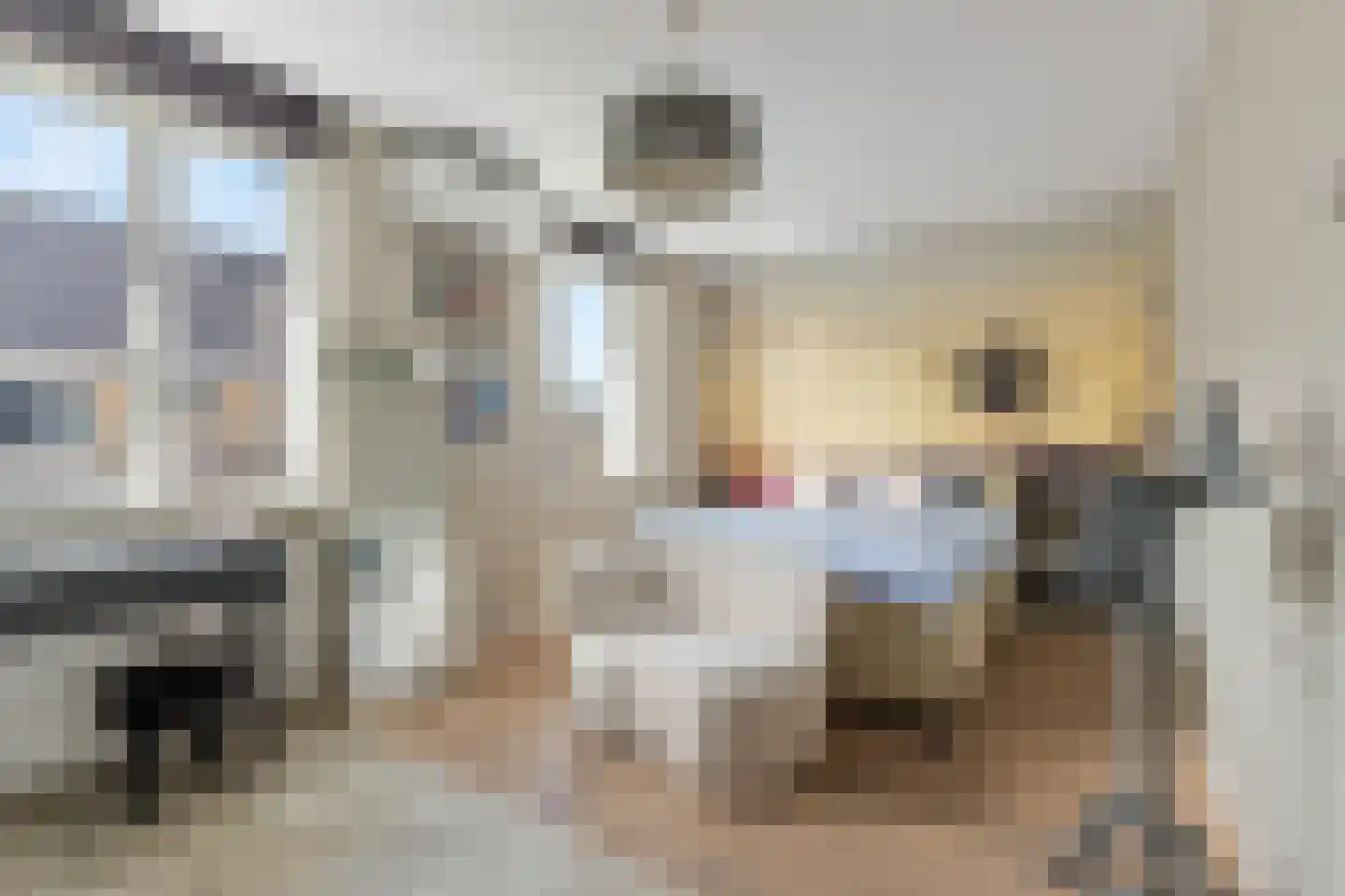 Rudy van Houtenstraat 11 Hilversum thumbnail 21