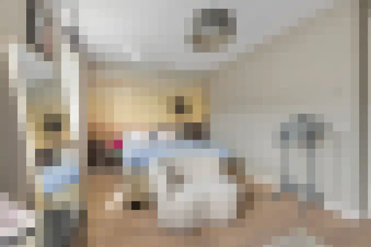 Rudy van Houtenstraat 11 Hilversum thumbnail 22