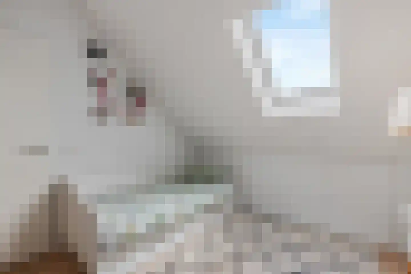 Rudy van Houtenstraat 11 Hilversum thumbnail 35