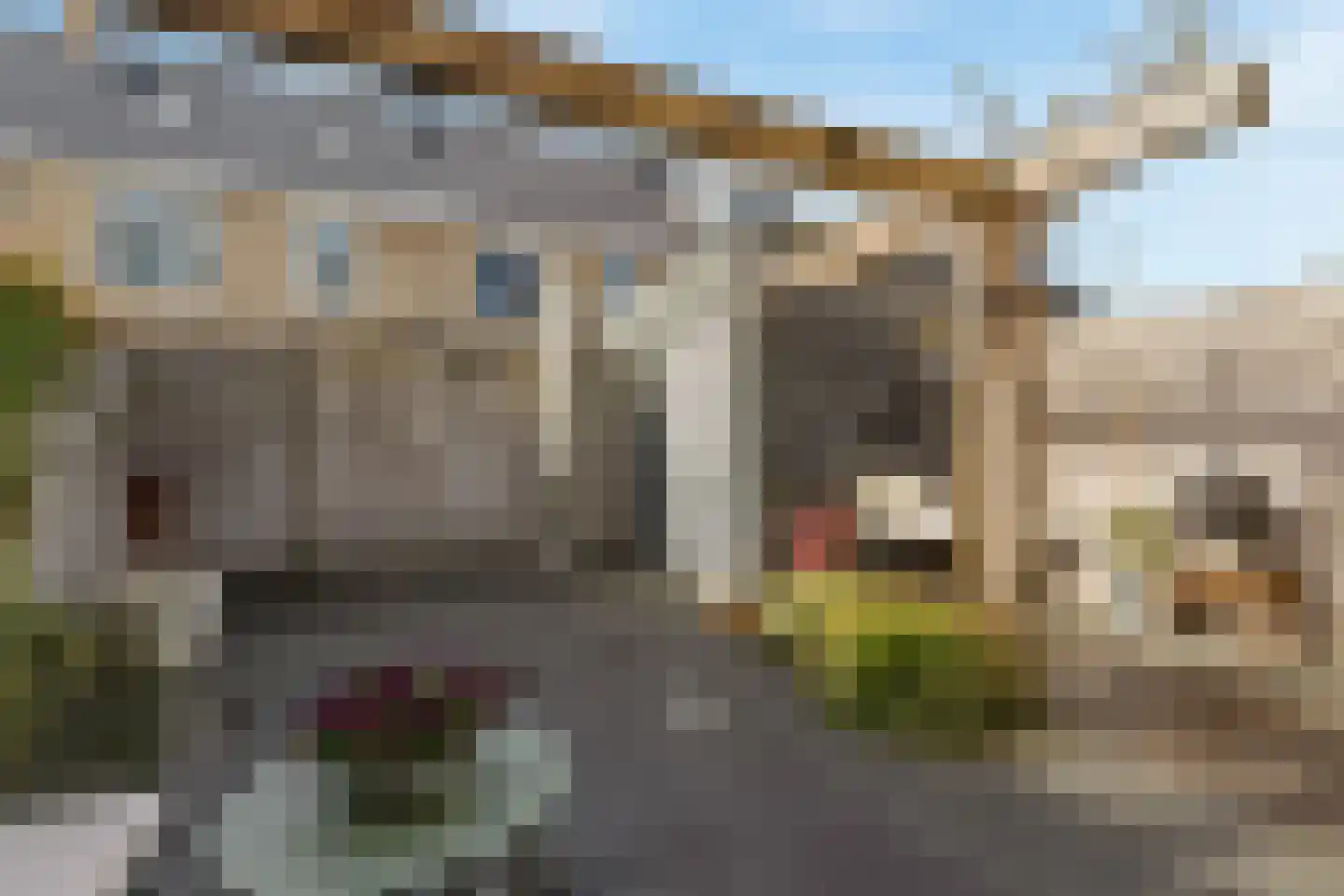 Rudy van Houtenstraat 11 Hilversum thumbnail 39