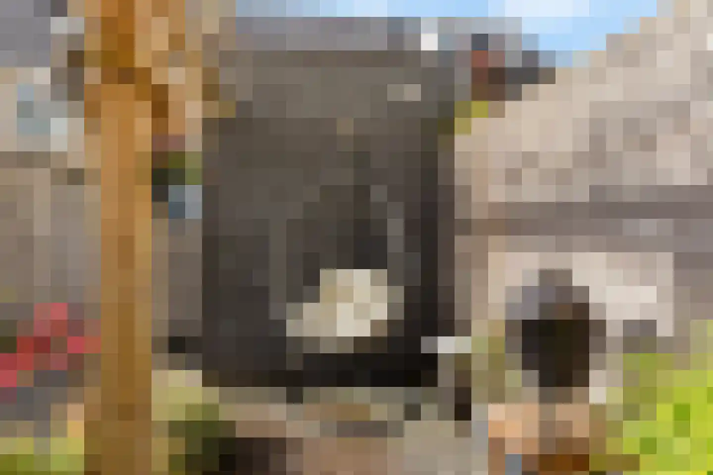 Rudy van Houtenstraat 11 Hilversum thumbnail 41