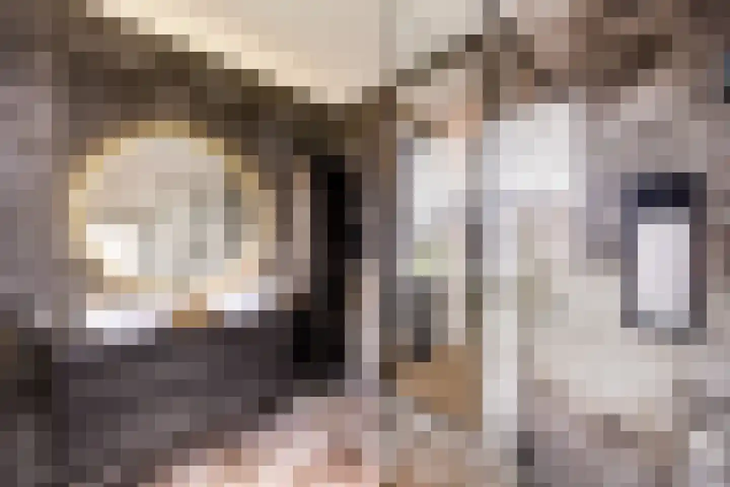 Rueterlaan 17 Blaricum thumbnail 32