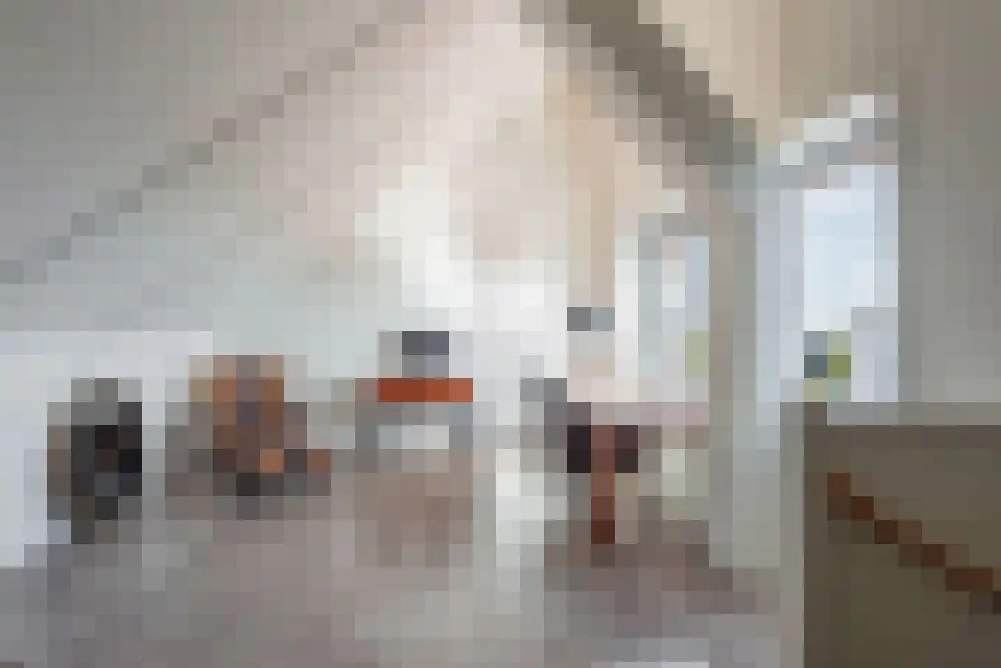 Rueterlaan 17 Blaricum thumbnail 35