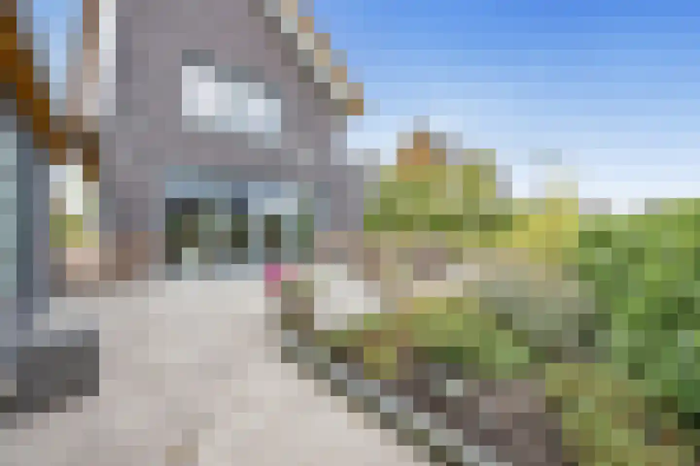 Rueterlaan 17 Blaricum thumbnail 43