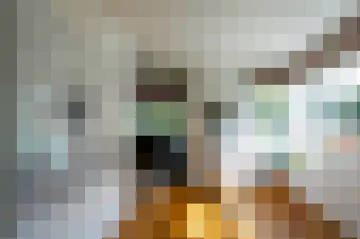 Rueterlaan 4 Laren thumbnail 14