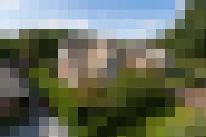 Rueterlaan 4 Laren thumbnail 45