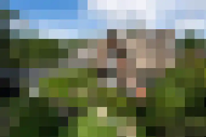 Rueterlaan 4 Laren thumbnail 47
