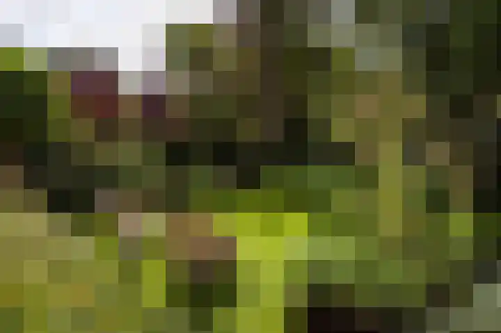 Rueterlaan 4 Laren thumbnail 48