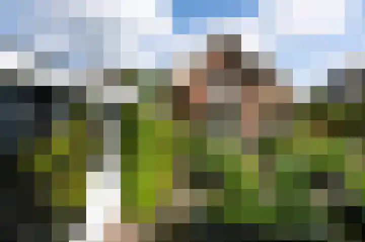 Rueterlaan 4 Laren thumbnail 49