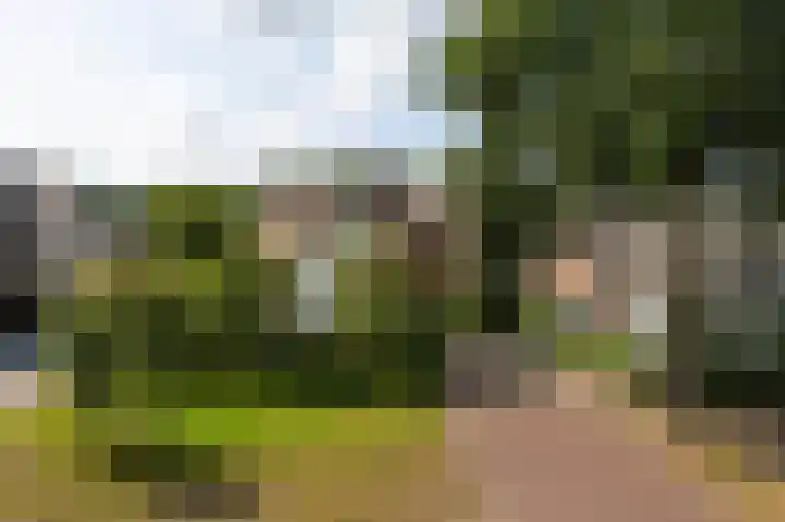 Rueterlaan 4 Laren thumbnail 50