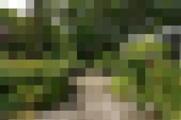 Rueterlaan 4 Laren thumbnail 51