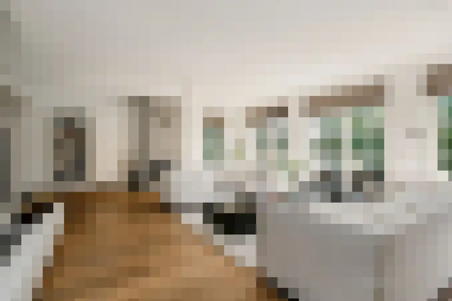 Rueterlaan 5 Laren thumbnail 10