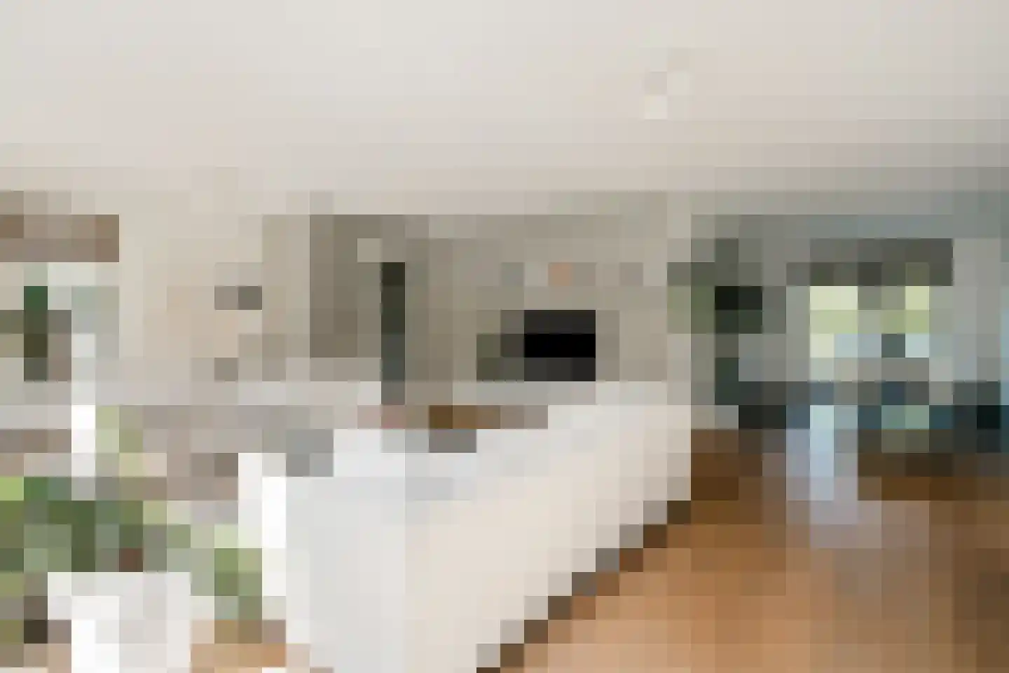 Rueterlaan 5 Laren thumbnail 12