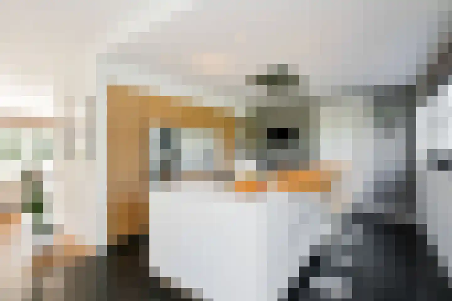 Rueterlaan 5 Laren thumbnail 16