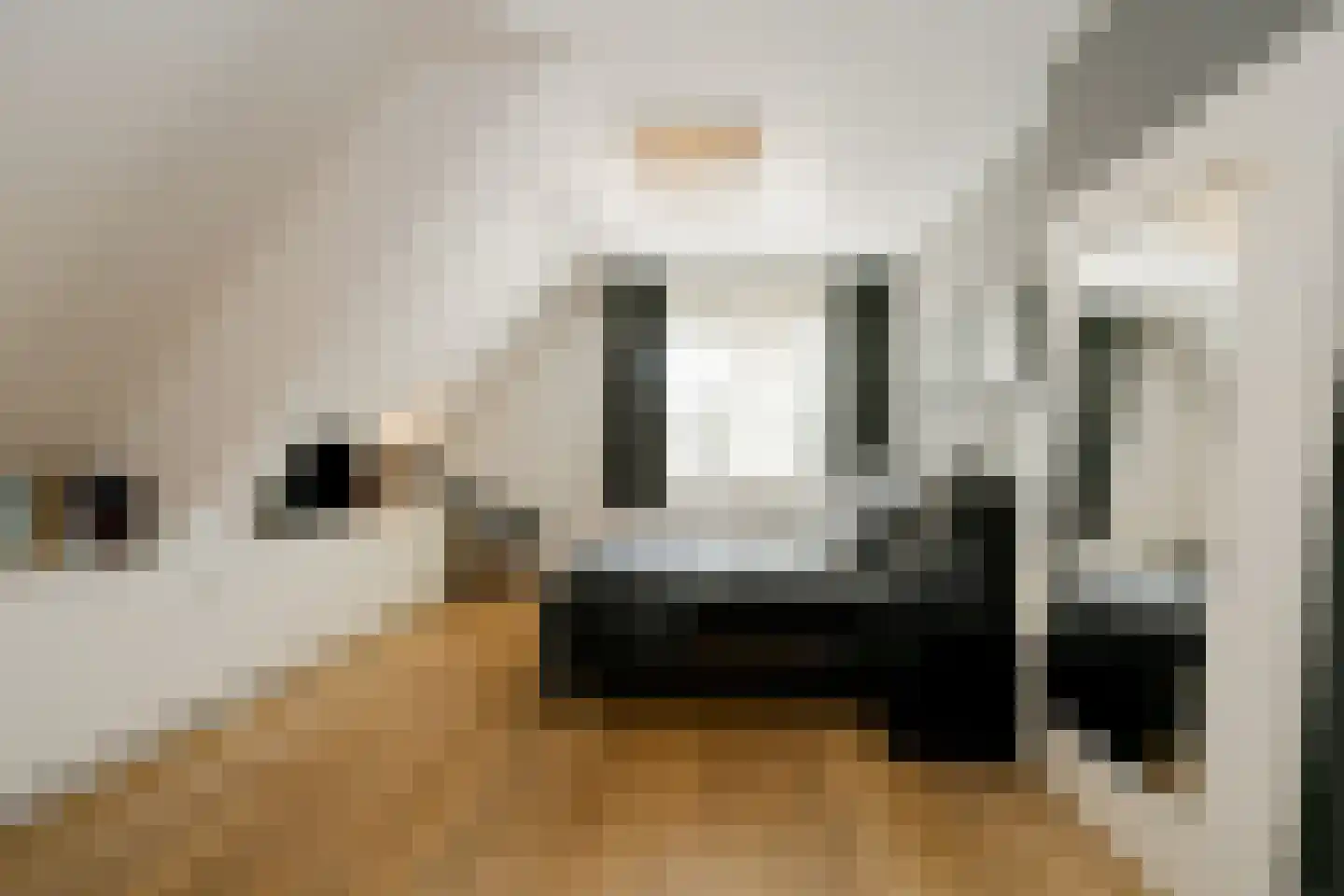 Rueterlaan 5 Laren thumbnail 29
