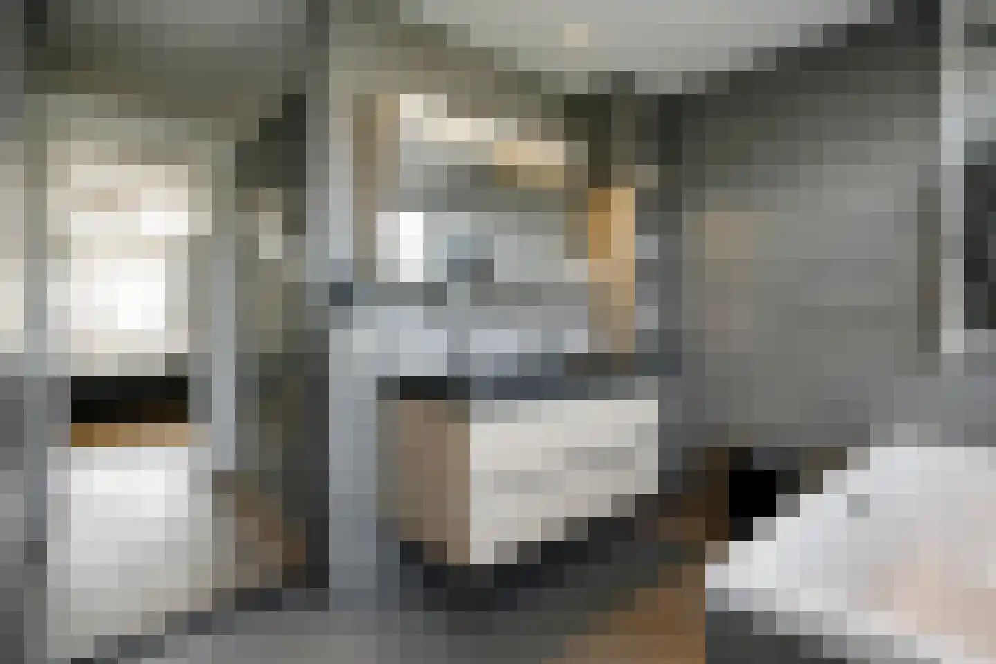 Rueterlaan 5 Laren thumbnail 34