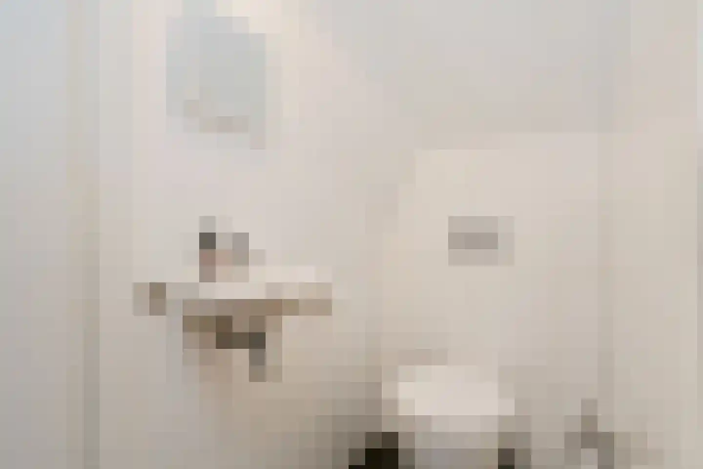 Rueterlaan 5 Laren thumbnail 39