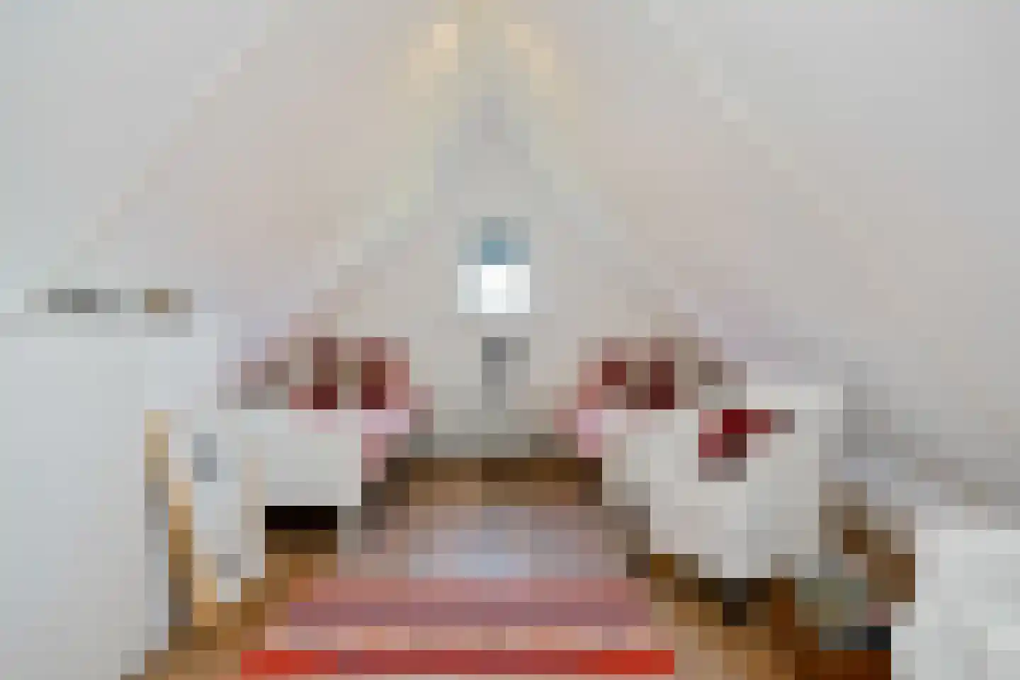 Rueterlaan 5 Laren thumbnail 41