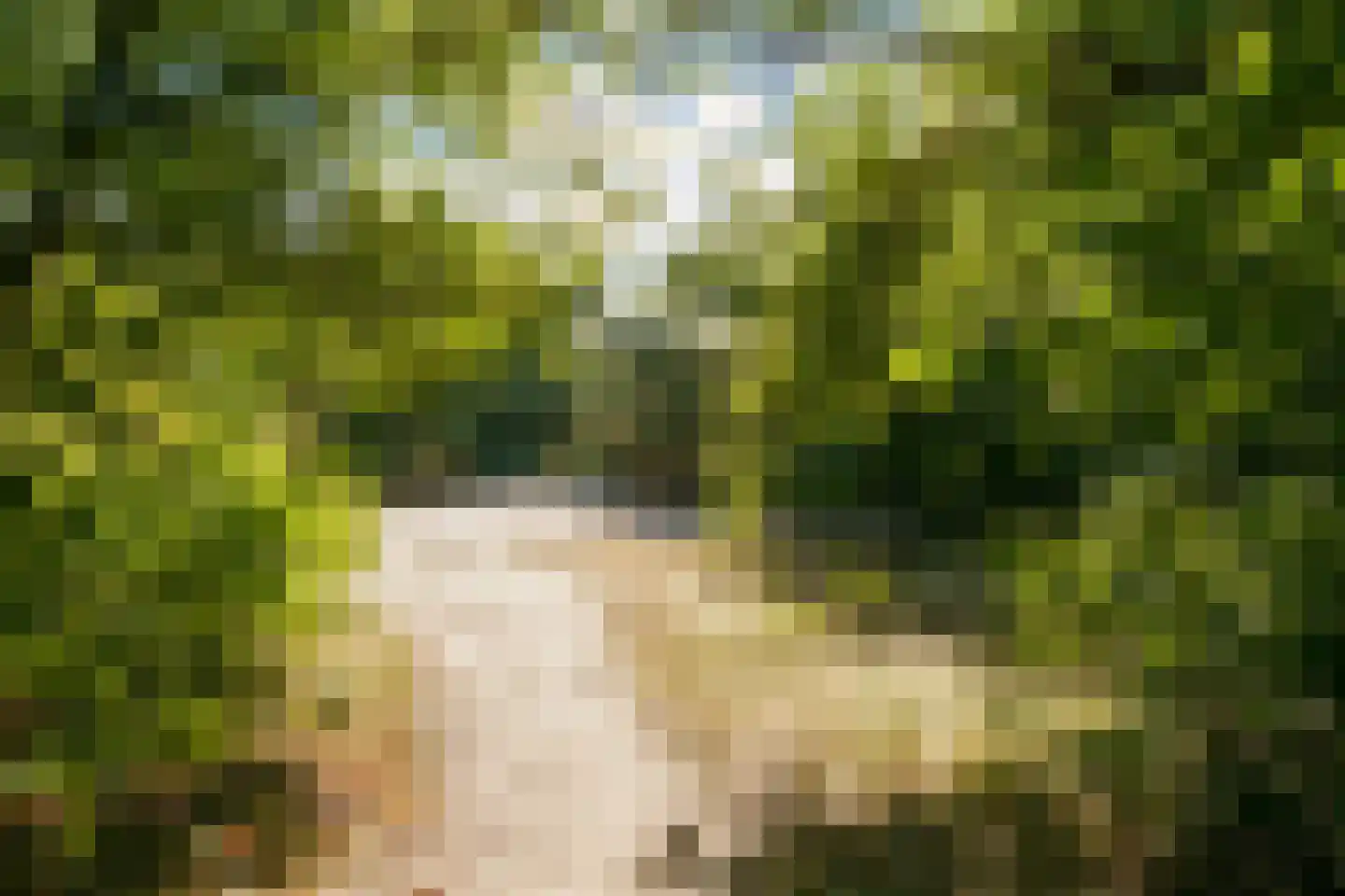 Rueterlaan 5 Laren thumbnail 54