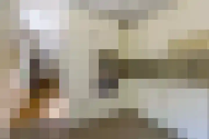 Ruggeweg 3 Beekbergen thumbnail 12