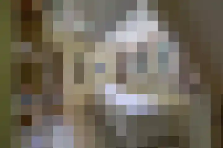 Ruggeweg 3 Beekbergen thumbnail 15