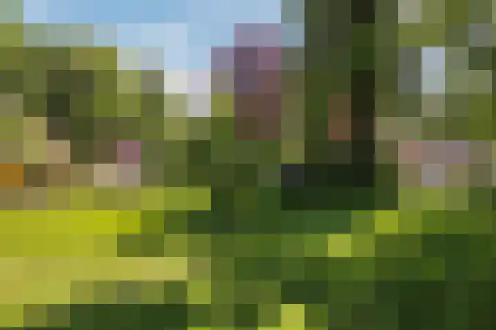 Ruggeweg 3 Beekbergen thumbnail 25