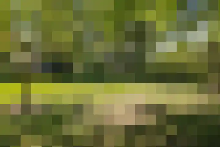 Ruggeweg 3 Beekbergen thumbnail 26
