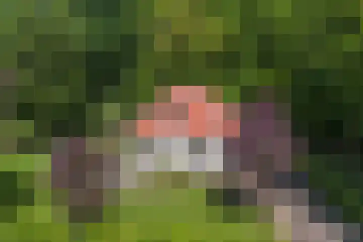 Ruggeweg 3 Beekbergen thumbnail 27