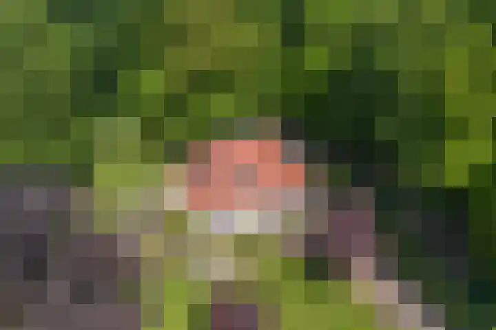 Ruggeweg 3 Beekbergen thumbnail 28