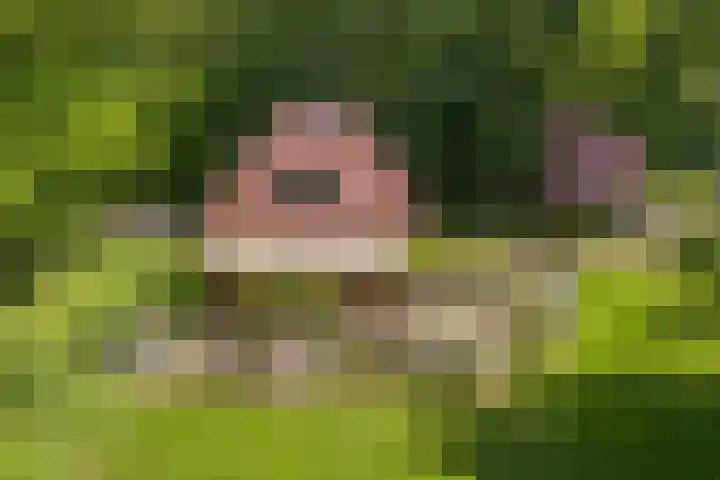 Ruggeweg 3 Beekbergen thumbnail 29