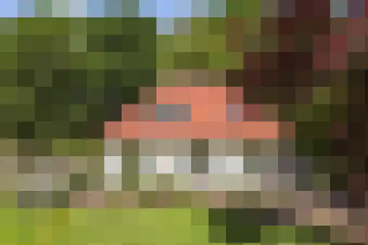 Ruggeweg 3 Beekbergen thumbnail 31
