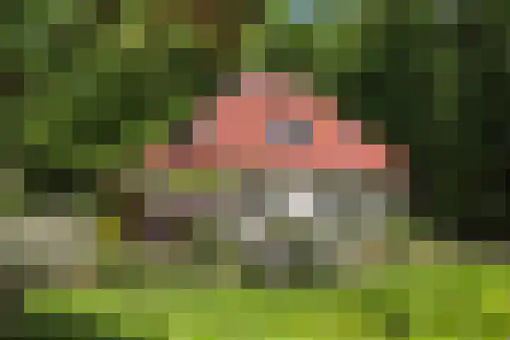 Ruggeweg 3 Beekbergen thumbnail 32