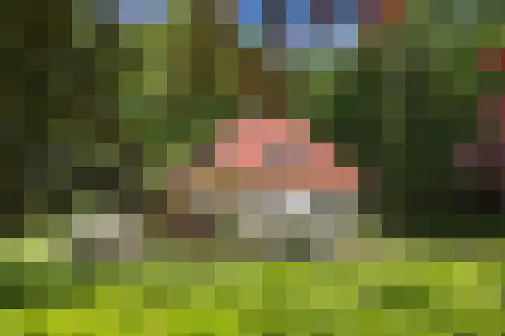 Ruggeweg 3 Beekbergen thumbnail 33